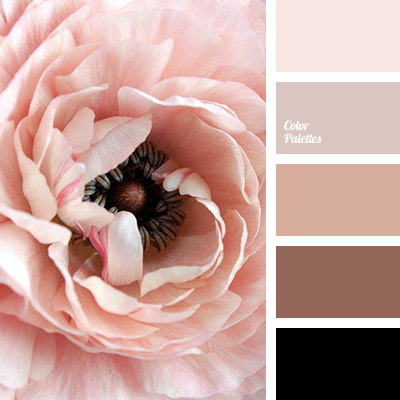 shades of beige and pink
