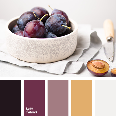 Shades of plum color