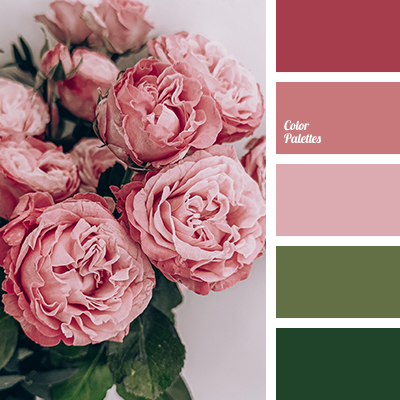 Rose colors
