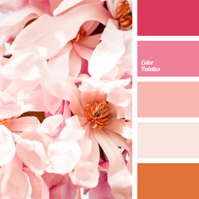 Delicate shades of rose