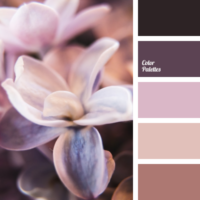 Shades of plum color