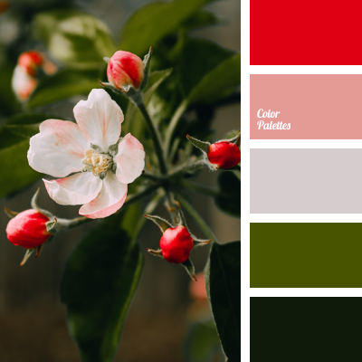 mave Overfrakke For en dagstur red and green | Color Palette Ideas