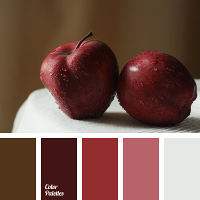 komprimeret Tilstedeværelse Livlig red and brown | Color Palette Ideas