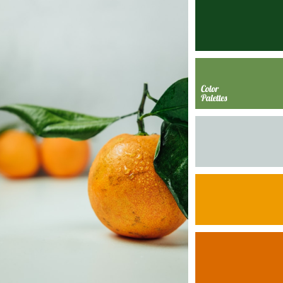 Color Palette Ideas | Colorpalettes.Net